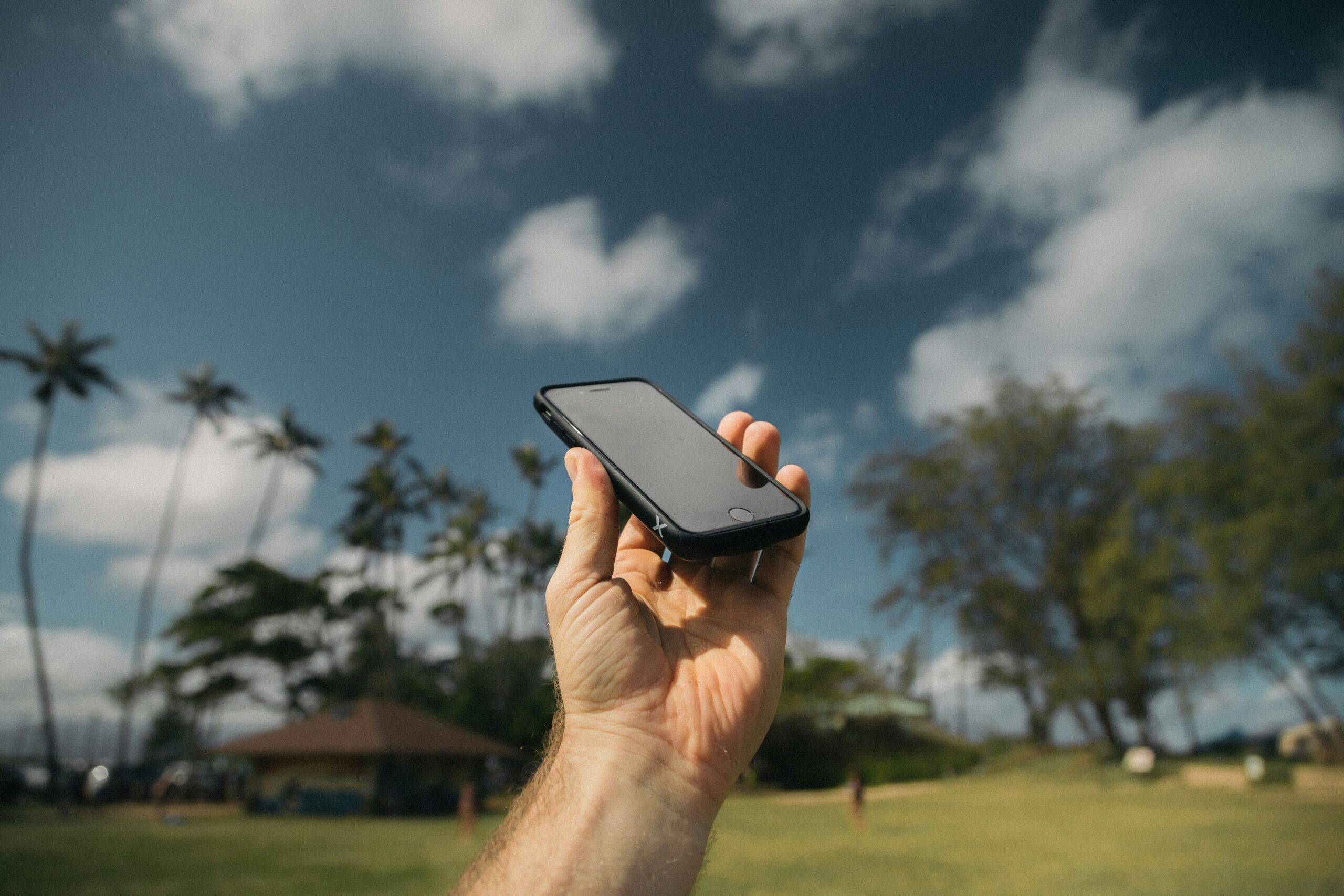Phone held up with palm trees in background